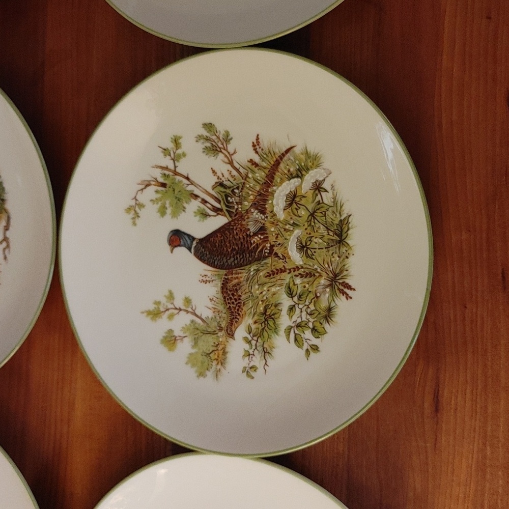 6 Bareuther Waldsassen Wildlife Transferware Porcelain Luncheon Plates - Picture 7 of 17